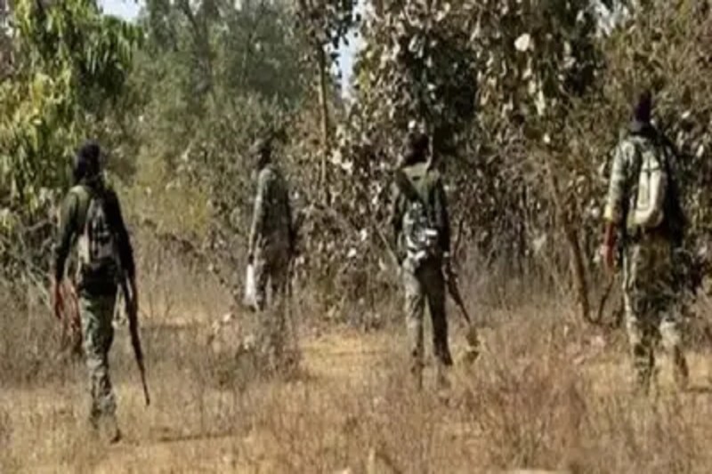 CG News: राजनांदगांव, कवर्धा व खैरागढ़ में लाल आतंक का दायरा घटा, लगातार मुठभेड़ होने से नक्सली पस्त