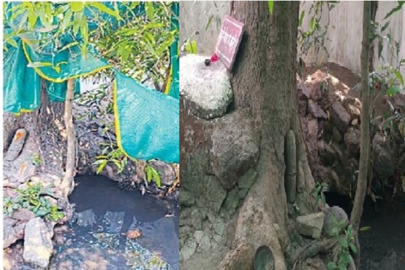 CG News: सीता की प्यास बुझाने लक्ष्मण ने पेड़ पर मारा तीर, आज भी बह रहा पानी