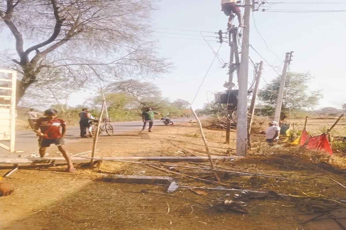 CG News: तेज आंधी से बिजली तार पर गिरा पेड़, चपेट में आई महिला की मौत