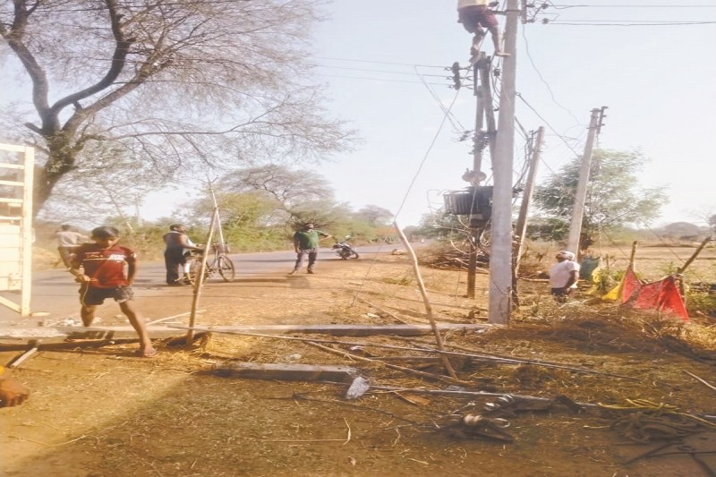 CG News: तेज आंधी से बिजली तार पर गिरा पेड़, चपेट में आई महिला की मौत