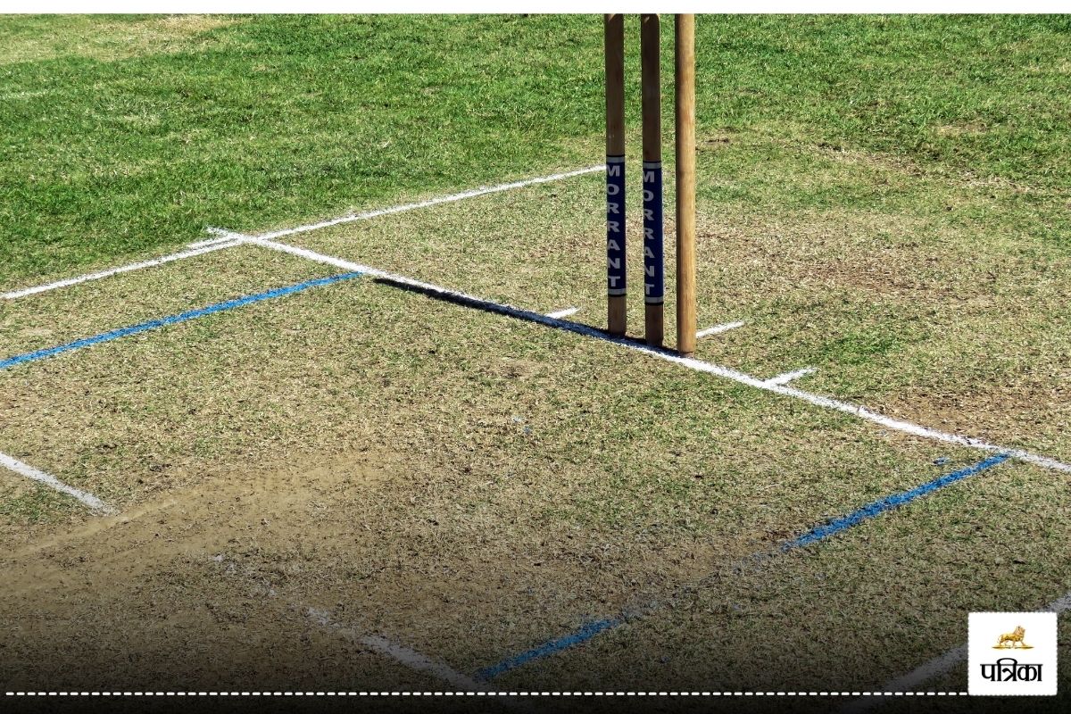 cricket Pitch