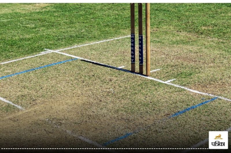 cricket Pitch