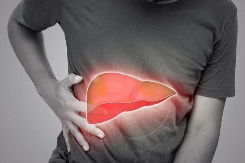 experts told the reason behind increasing cases of Fatty liver among the youth on World Liver Day