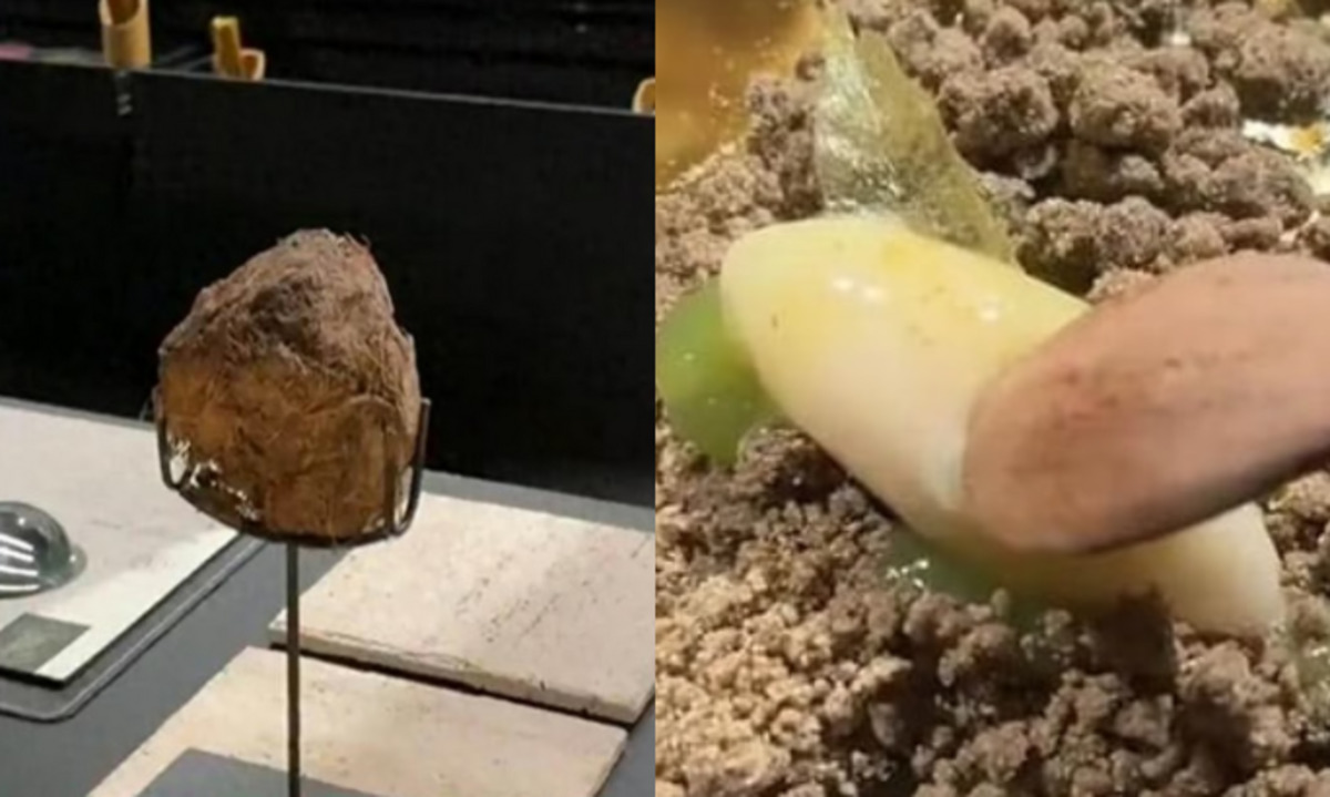 Elephant dung dessert