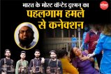 Hafiz Saeed's connection with Pahalgam Terrorist Attack
