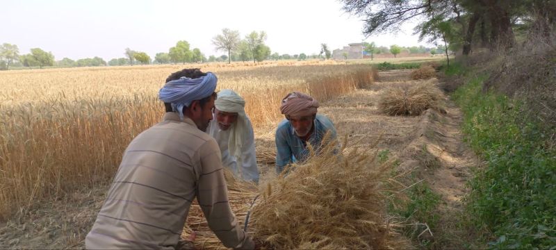 खरीफ 2024 के बकाया क्लेम की गणना शुरू, मई के आखिर तक राहत मिलने की उम्मीद