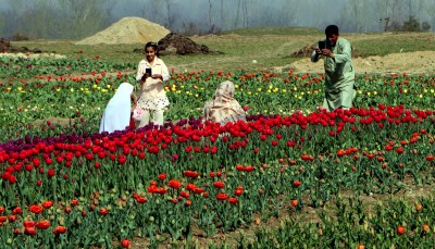 Short video poster image