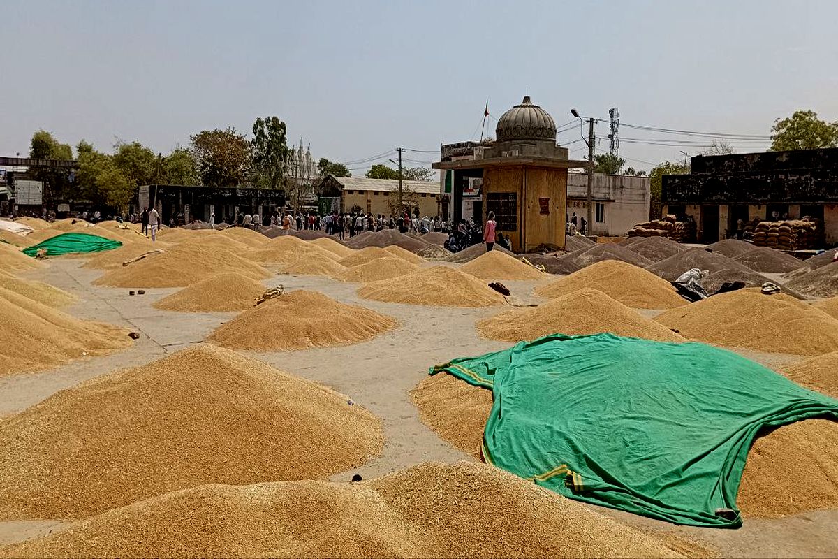 देई कृषि मंडी में हुई 1 करोड़ 97 लाख रुपए की आय