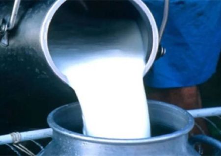 milk price