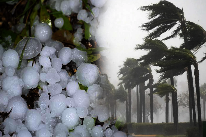 Rain and hailstorm alert for 42 districts in MP