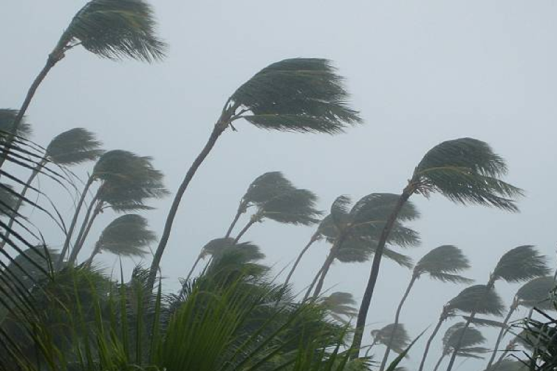 Weather Alert: बारिश मचा रहा तबाही… बिजली गिरने से एक युवक की मौत, आज भी कई जिलों में बरसेंगे बादल