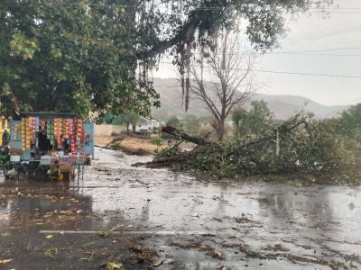 Short video poster image