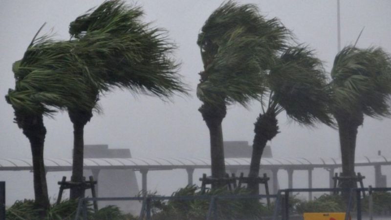 news up weather