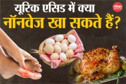 Can uric acid patients eat non veg