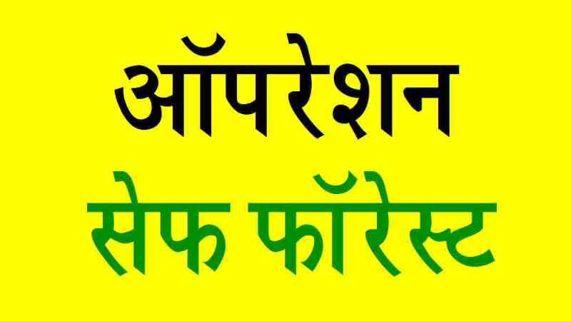 operation-safe-forest