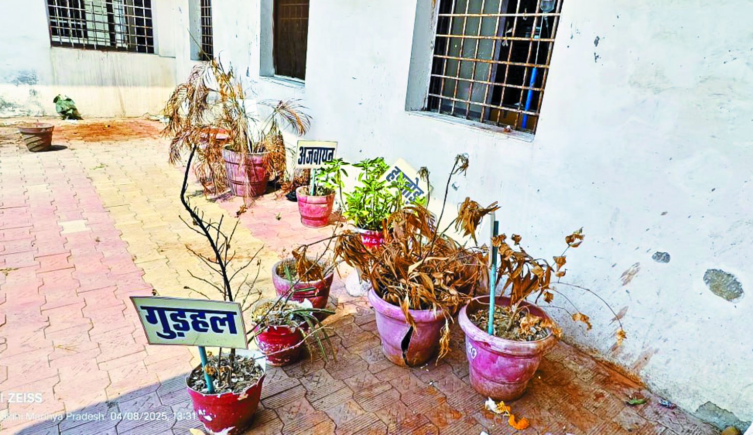 ये कैसा हर्बल गार्डन! सूख गए औषधीय पौधे, बचे केवल गमले