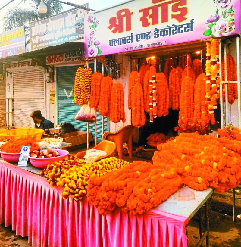 एक सीजन में 12 से 15 लाख का होता है कारोबार