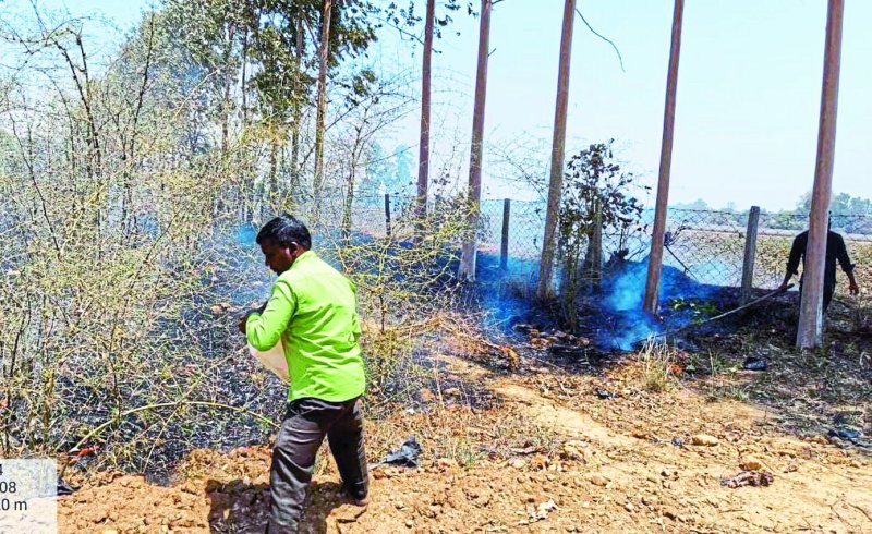 गर्मी में धधक रहे जंगल, आग से वन संपदा को लाखों का हो रहा नुकसान