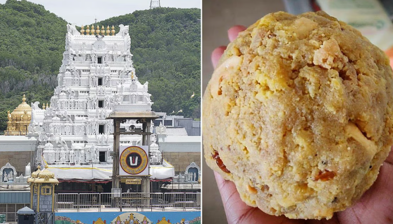 Statements of Gwalior businessmen on mixing animal fat in Tirupati temple prasad