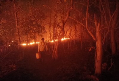 ओरछा। जंगल में आग पर काबू पाने पाली ले जाता कर्मचारी।