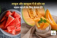 Watermelon vs muskmelon which is better for weight loss