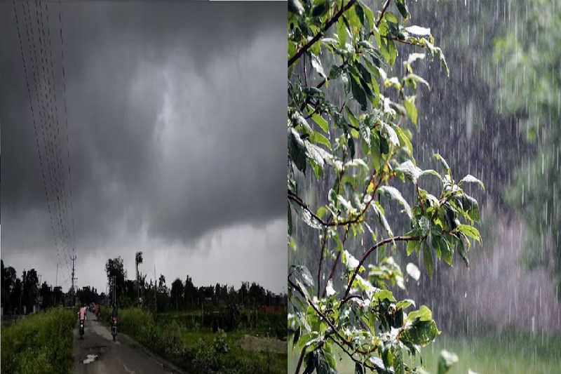 Weather Updates: मौसम में आई तब्दीली, प्रदेश में 5 दिनों तक अंधड़ के आसार, IMD की चेतावनी जारी
