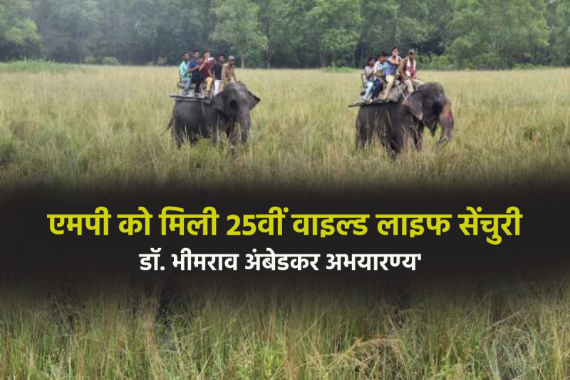 dr bhimrao ambedkar wildlife sanctuary