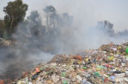 पुरानी आबादी लगी आग, दौड़ी दमकल की छह गाडि़यां - image