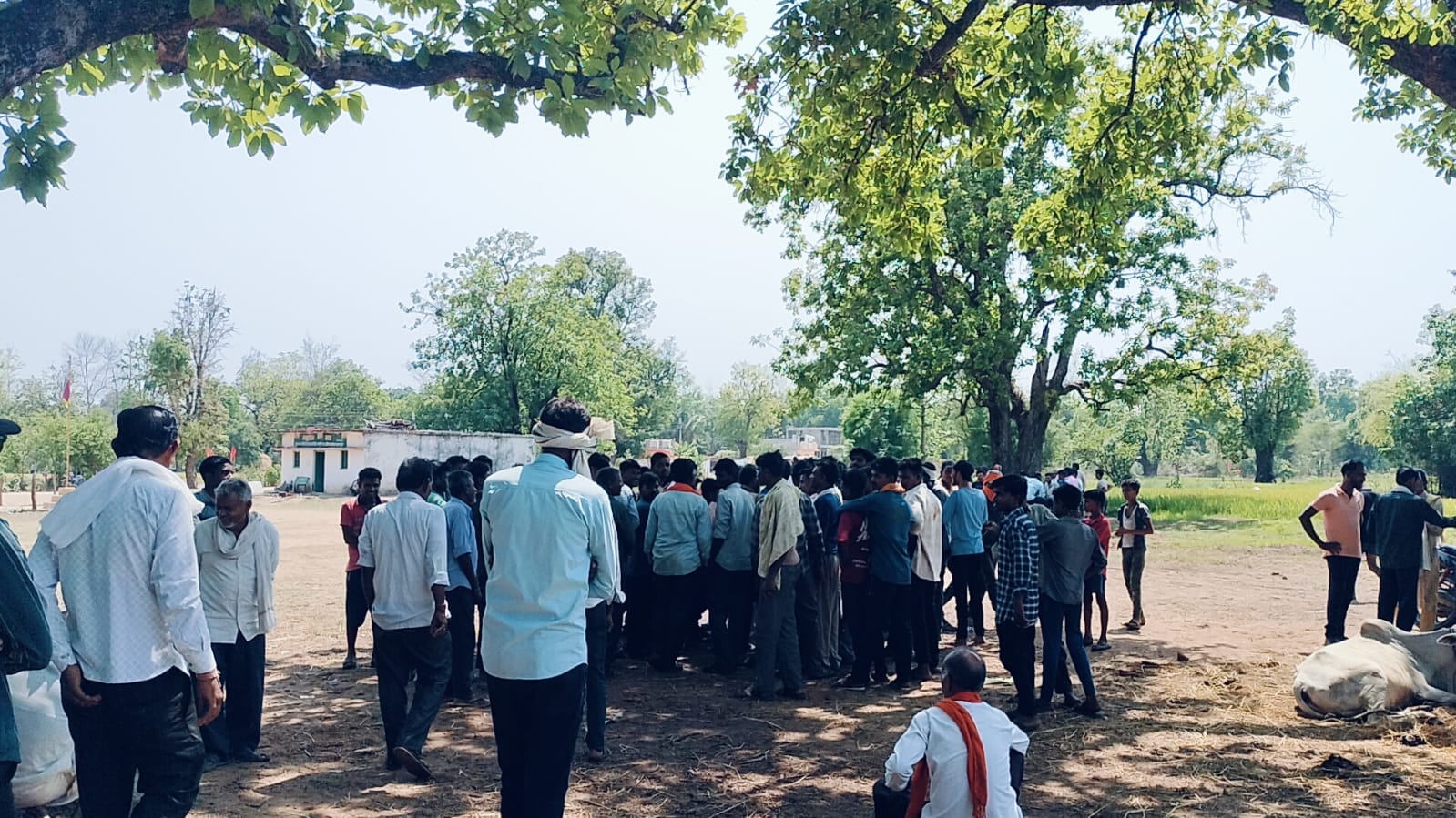देर शाम तक भी सिवनी पेंच से नहीं पहुंची रेस्क्यू टीम