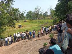 15 घंटे चले रेस्क्यू के बाद गिरफ्त में आया आदमखोर बाघ - image