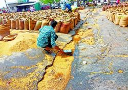 पानी में बहा अनाज, सम्मेलन में टेन्ट उड़े, बारिश ने बढ़ाई परेशानी - image