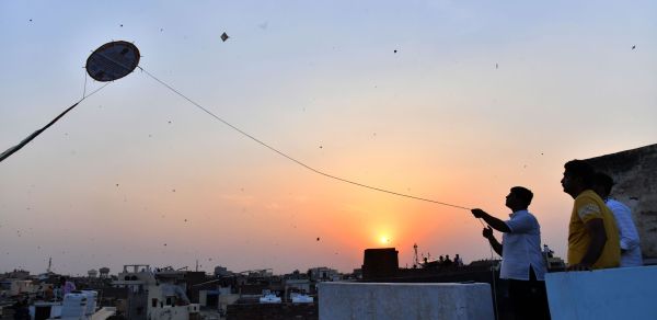 There was a lot of kite flying in Bikaner city on Akshaya Tritiya.