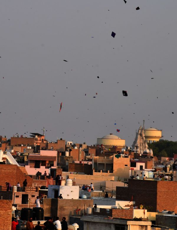There was a lot of kite flying in Bikaner city on Akshaya Tritiya.