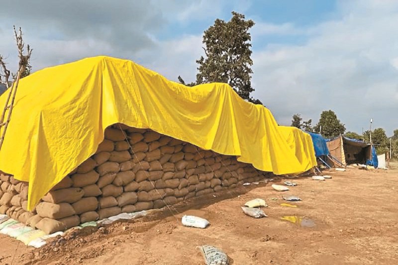 CG News: बस्तर, सुकमा, दंतेवाड़ा और बीजापुर से खरीदे गए धान की स्थिति चिंताजनक, हो सकता है 440 करोड़ रुपए का नुकसान