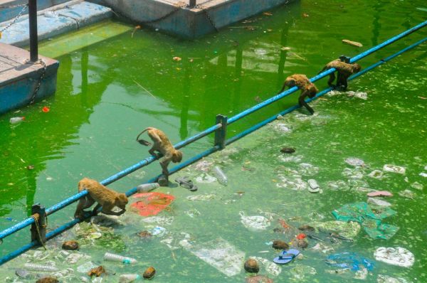 Galata ji janana kund