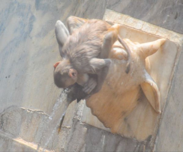 Galata ji janana kund