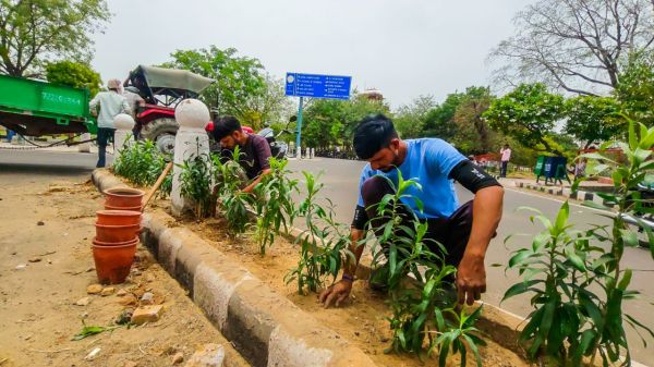 Rajasthan University 