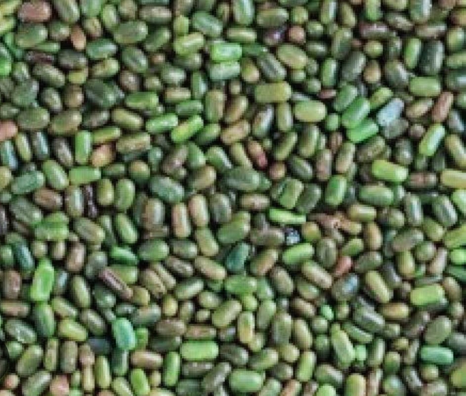ढैंचा की खेती
