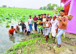देखते ही देखते किशनपुरा के कमल सरोवर को चमका दिया - image