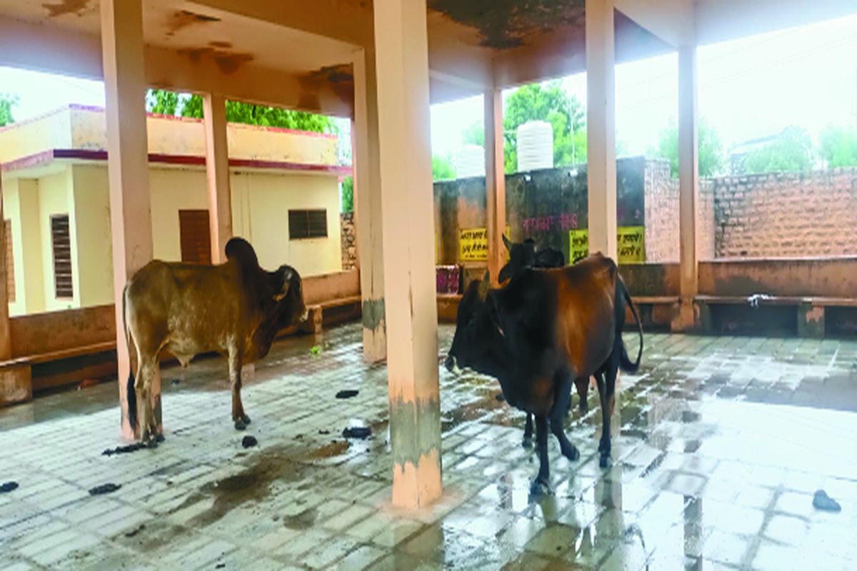 राज्य सरकार के मंत्री के गांव में डेढ़ साल पहले सरकार ने की थी आधुनिक बस स्टैण्ड
बनाने की घोषणा, आज भी यात्रियों का सपना