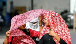 UP Heat Crisis: भीषण गर्मी का प्रकोप: 30 से अधिक जिलों में लू का अलर्ट, तराई में
बारिश की संभावना - image