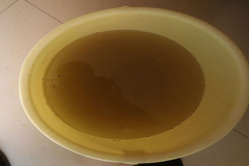 सालों पुरानी लाइनें क्षतिग्रस्त, घरों में पहुंच रहा गंदा पानी Years old pipelines are damaged, dirty water is reaching homes