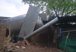 अंधड़ ने मचाई तबाही, उखड़े पेड़, टिन-टप्पर उड़े - image