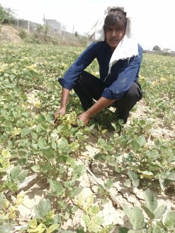 भीषण गर्मी: लोगो को रात दिन लग रहे बिजली के झटके - image