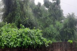 UP Orange Alert: मौसम ने बदला रूप: आंधी, बारिश और ओलों का कहर, IMD ने जारी किया
ऑरेंज अलर्ट - image