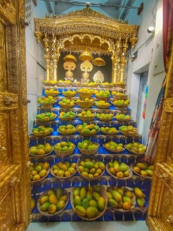 वडताल : स्वामीनारायण मंदिर में 500 किलो केसर आम का लगाया भोग - image