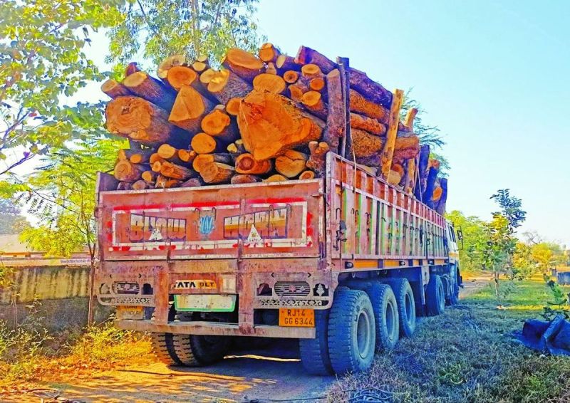 वन क्षेत्र में पेड़ो का अवैध कटान कर व वन उत्पादों के अवैध परिवहन को लेकर राज्य सरकार ने संबधित अपराधों को लेकर नए आदेश के तहत जुर्माना राशि में परिवर्तन करते हुए निर्धारित जुर्माना तय कर दिया है।