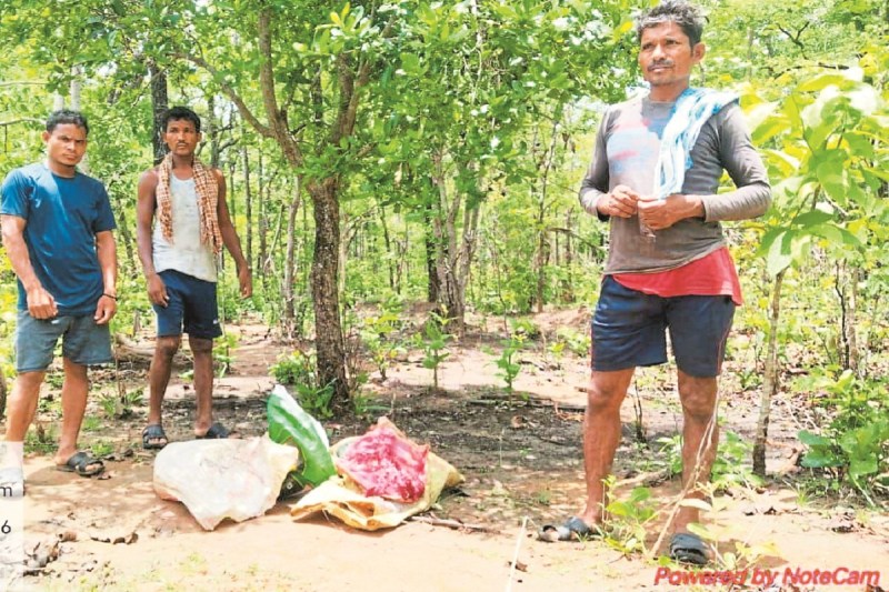 3 शिकारी गिरफ्तार (Photo- Patrika)