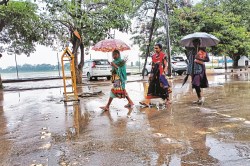Bastar Monsoon: बदला मौसम का मिजाज! नवतपा में बरस रहे बादल, 100 साल बाद बस्तर
पहुंचा मानसून - image