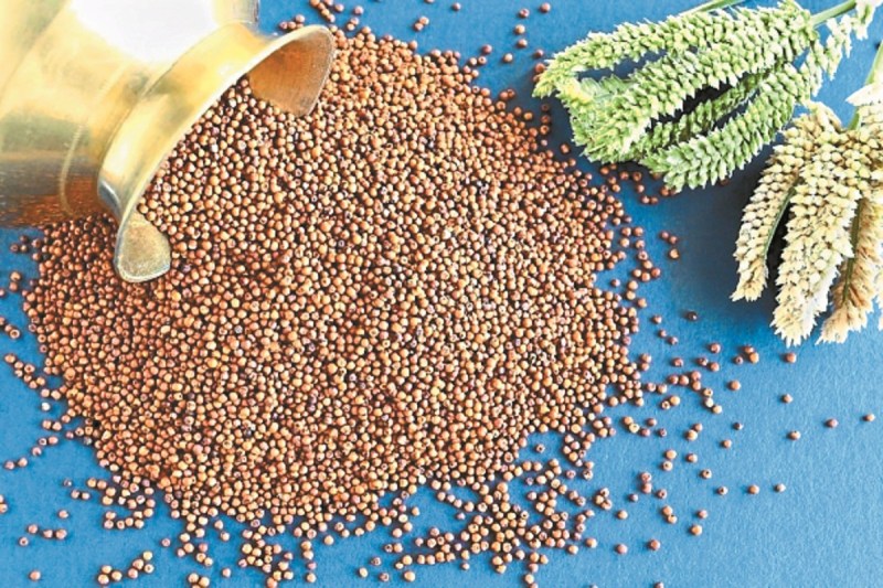 रागी को मिला दाम (Photo source- Patrika)